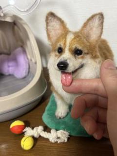 わたわたペット 羊毛フェルト作品 コーギー キャリーケース