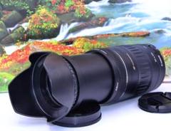 望遠はここから！Canon EF 90-300mm USM 望遠レンズ♥9 - メルカリ