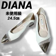 DIANA パイソン　多素材　シアー　フラットパンプス　アイボリー　24.5㎝ DIANA パイソン 多素材 シアー フラットパンプス アイボリー