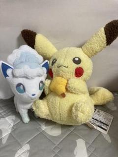 ポケモン ぬいぐるみ ピカチュウ アローラロコン