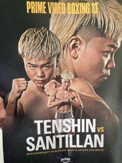 RIZIN28那須川天心サイン 対戦選手ポスター RIZIN28那須川天心サイン 対戦選手ポスター（ポスター - RIZIN
