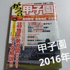 高校野球 全国49地区、特盛データBOOK「がっつり!甲子園 2016」のサムネイル