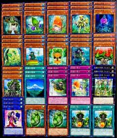 2025年最新】遊戯王 森羅 デッキの人気アイテム - メルカリ