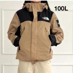 ノースフェイス　マウンテンパーカー　100 L アウトドア　キャンプ　韓国限定