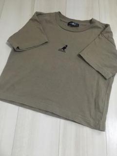 130cmカンゴール、TK半袖Tシャツセット