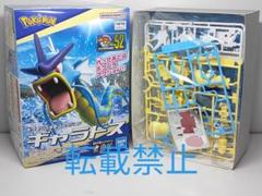 ポケモンコレクション　プラモデルまとめ売り ポケモンプラモコレクション セレクトシリーズ イベルタル