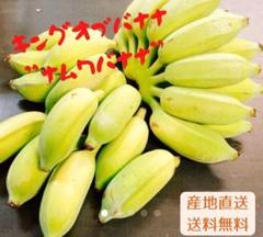 ドワーフナムワ 2本セット｜Yahoo!フリマ（旧PayPayフリマ）