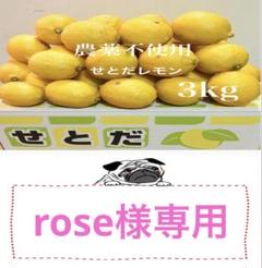 国産瀬戸田レモン3kg前後 rose様 - メルカリ