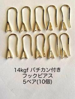 14kgf バチカン付き　フックピアス　5ペア(10個)