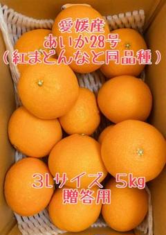 あゆ　マドンナ10キロ aika-a-3kg.jpg