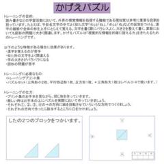【かげえパズル×4冊】　LDセンター　視覚トレーニングプリント　(裁断済み)