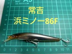 2025年最新】浜ミノーの人気アイテム - メルカリ