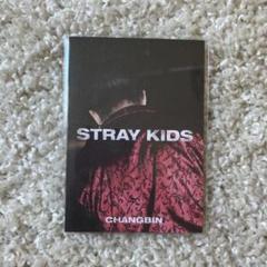 Stray Kids チャンビン ミニフォトブック IN生 特典 トレカ スキズ