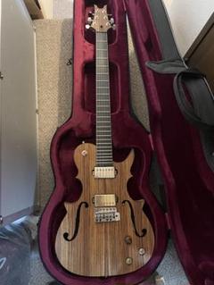 2025年最新】gibson セミハードケースの人気アイテム - メルカリ