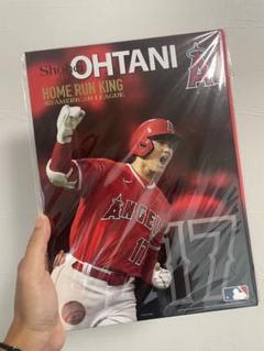 入手困難★世界のスーパースター★大谷翔平直筆サイン入り、大型フォト 世界のスーパースター 大谷翔平直筆サイン入りフォト 額付き