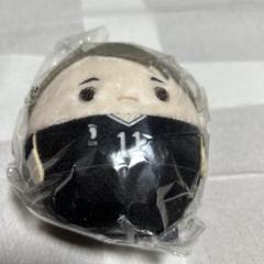 ハイキュー ふわコロリン 灰葉リエーフ 北信介 宮治　ぬいぐるみ ハイキュー!! ふわコロりんBIG スペシャル H 北信介 | 公式