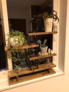 工具不要☆組み立て簡単☆天然木☆植物棚☆プランターラック☆窓枠植物☆観葉植物棚 m80196108302_1.jpg?1737535500