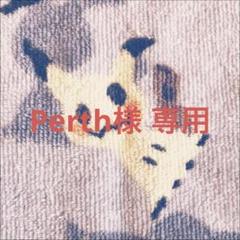 ポケモンカードゲーム デッキケース ロケット団の栄光 ｜【公式