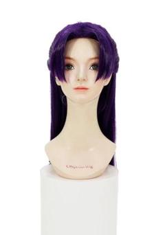 ウィッグ セット済み 薬屋のひとりごと 壬氏風 薬屋のひとりごと 壬氏 風 ウィッグ コスプレ キャラウィッグ