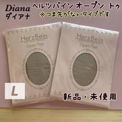 ダイアナ　ヘルツバイン　オープントゥ　新品未使用　Lサイズ　5点セット 2025年最新】ダイアナ ヘルツバイン オープントゥの人気アイテム