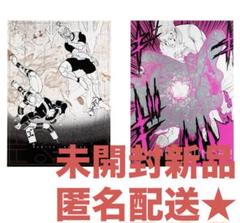 冨樫義博展 ハンターハンター B2グラフィックポスター2枚セット