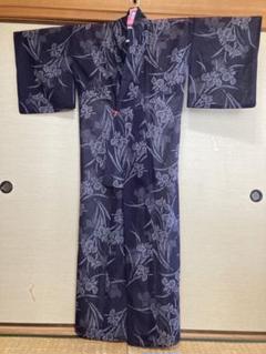 紋紗 銀駒 夏着物 トールサイズ“神秘の泉に残り香代わりの根