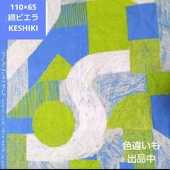 KESHIKI ケシキ アスレチックパーク 生地 はぎれ