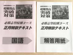 2025年最新】正月特訓テキストの人気アイテム - メルカリ