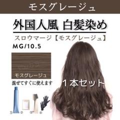 セブリナ・9cmポット1個【ポトス ベビーサンローズのように簡単!初心者向き!】