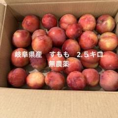 すもも 鹿児島産 無農薬5キロ 鹿児島産すもも 1㎏ 農薬不使用 無農薬 プラム｜Yahoo!フリマ
