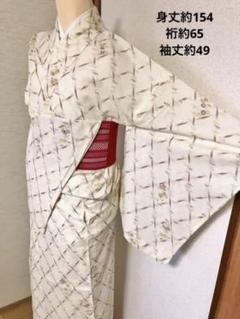 訳あり 裄66cm 薄い緑地に花々訪問着セット 正絹 袷 着物・帯・帯締め ...