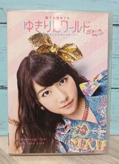 柏木由紀　ソロポスター　非売品　2枚セット　AKB48　ゆきりんワールド 柏木由紀 ソロポスター 非売品 2枚セット AKB48 ゆきりん