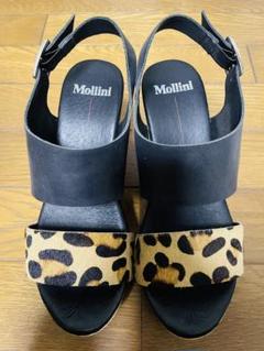 祝開店！大放出セール開催中 Molli uniパイソンレザーサンダル22.5cm 靴