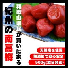 ☆産地直送 紀州南高梅 500g 梅 無添加 和歌山 紀州 白梅 2807