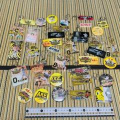 優待特典一覧 アクリルキーホルダー 缶バッジ 阪神タイガース セット b まとめ 記念グッズ