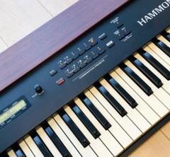 【良品】HAMMOND XK-1 専用純正ソフトケース、取り扱い説明書付き 2025年最新】HAMMOND XK-1の人気アイテム - メルカリ