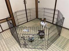ペットサークル　トムキャットの8面サークル　高さ122㎝ ペットフード＆ペット用品の「トムキャット」