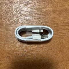 iPhone純正イヤホン付属品　ライトニングケーブル1m