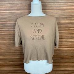 サマンサモスモスブルー ニット Tシャツ フリーサイズ 茶色 ロゴ 半袖