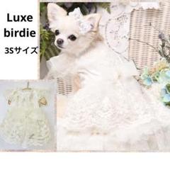 luxe birdie リュクスバーディ　ミナージュドレス♡新品タグ付きSサイズ DSC_1124_345x345@2x.jpg?v=