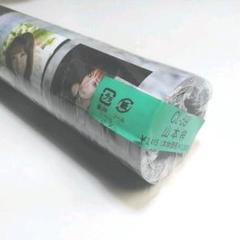 山本梓カレンダー2012 新品未開封 着払い限定