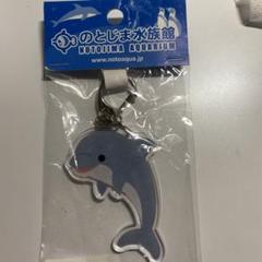 のとじま水族館 イルカキーホルダー - メルカリ