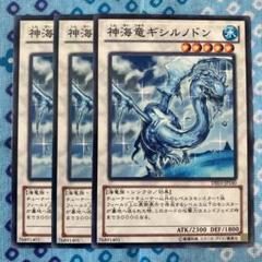 2025年最新】ギシルノドンの人気アイテム - メルカリ