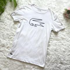 LACOSTE バク・ジョコビッチ コラボTシャツ　XS