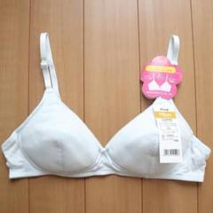 アツギ ハイジュニ ふんわりカップ ノンワイヤーブラ LL 大きめ 水色