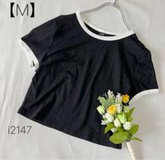 綿　ショート丈　半袖カットソー　Tシャツ バイカラー　チビT　ブラック【M】