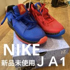 [新品未使用]NIKE JA 1 EP バスケットシューズ 25.5