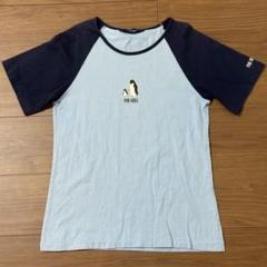 ピンクハウス♡２０２３夏♡半袖Ｔシャツ　カットソー　ブルーグレー　Ｌ ピンクハウス♡2023夏♡半袖TシャツカットソーブルーグレーL