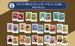 エポック　ディズニー　ピクサー　コレクションカード　フォトカード ナヴィーン王子 エポック ディズニー ピクサー コレクションカード フォトカード
