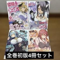聖騎士になったけど団長のおっぱいが凄すぎて心が清められない. 1-4巻初版